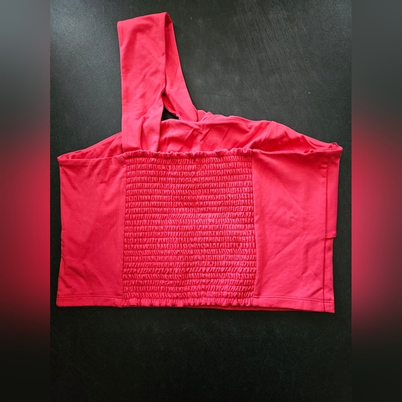 NWT - Banana Republic "Pink Crush" One-Shoulder Cropped Bustier - Size L - Picture 6 of 10